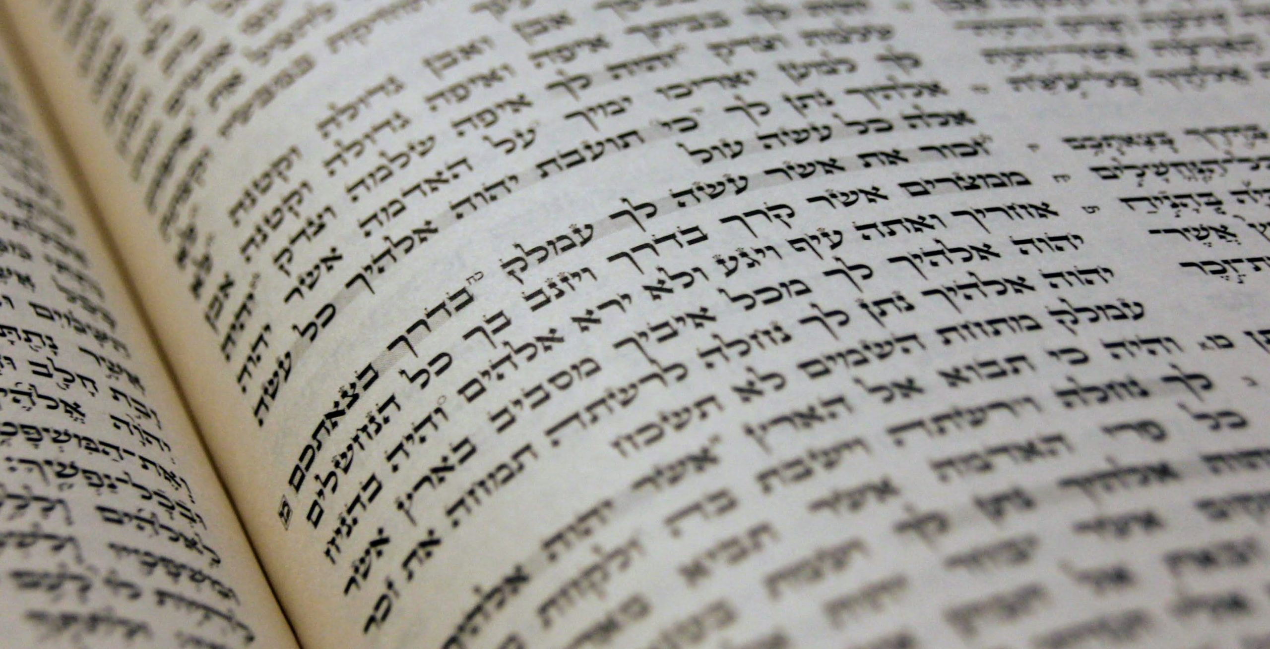 Read more about the article לא תשכח – כשלא ניתן לשמוע פרשת זכור